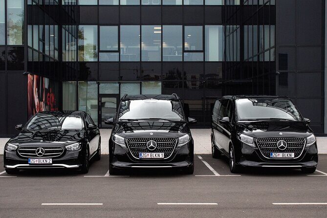 Private Arrival Transfer: Zagreb Airport to Zagreb Hotels - Who Is This Transfer Best For?