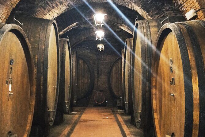 Private Art & Wine Tour in Cortona & Montepulciano, with lunch & 2 wine tastings - Key Points