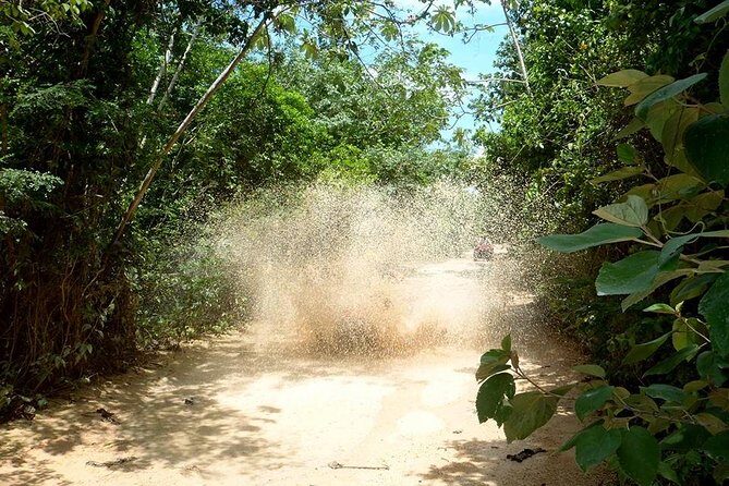 Private ATV Jungle Explorer Tour - Authentic Traveler Feedback