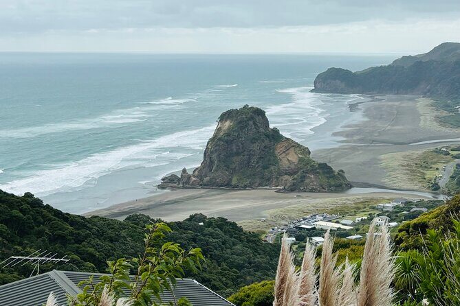Private Auckland best Spots + Piha beach and rainforest day Tour - Key Points
