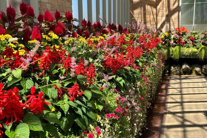 Private Auckland best Spots + Piha beach and rainforest day Tour - The Sum Up