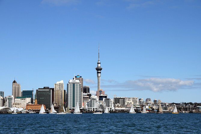 Private Auckland City Tour For Small Group in a luxury vehicle. - A Personal Approach to Exploring Auckland