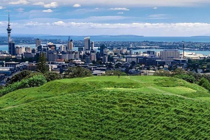Private Auckland City Tour For Small Group in a luxury vehicle. - The Sum Up