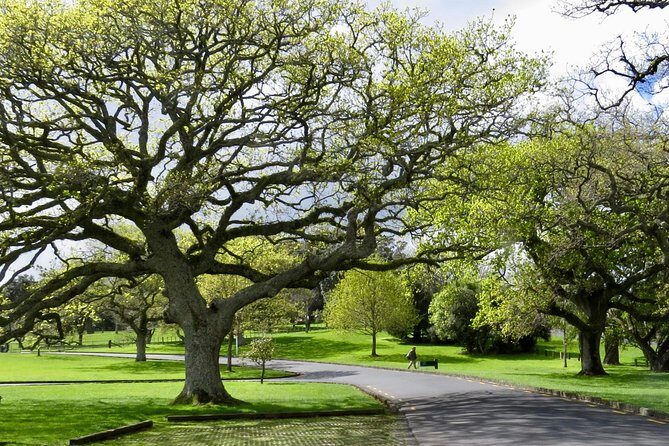 Private Auckland City Tour For Small Group in a luxury vehicle. - FAQs