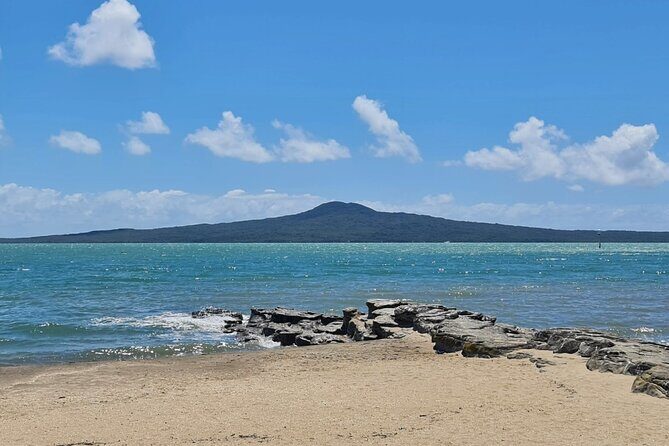 [PRIVATE] Auckland Half Day City Tour - The Sum Up