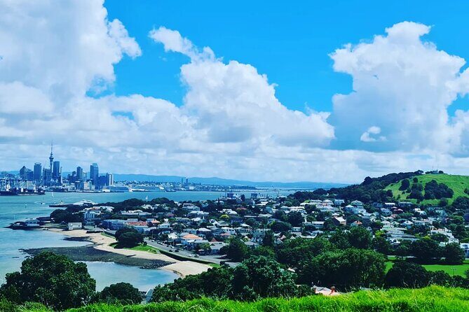 Private Auckland Highlight Day Tour - What to Expect from the Itinerary