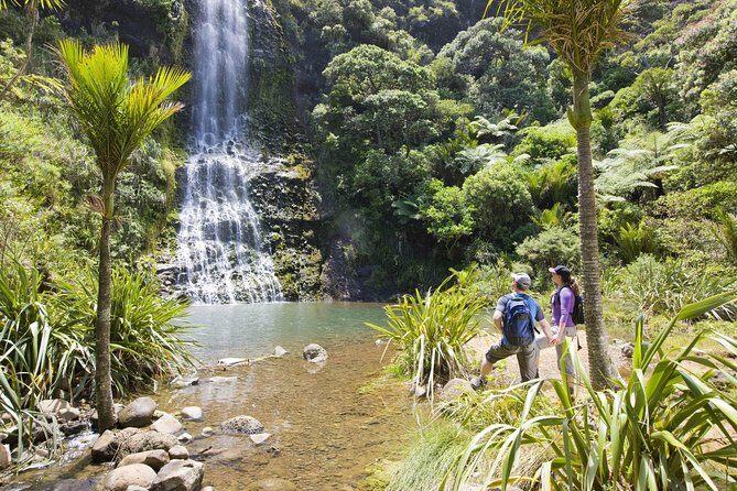 Private Auckland Luxury Tour - An In-Depth Look at the Auckland Private Luxury Tour