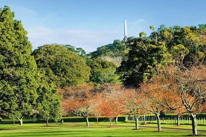 Private Auckland Sightseeing - Full Day/Half Day Hidden Gems Tour - Why This Tour Could Be Just What You Need