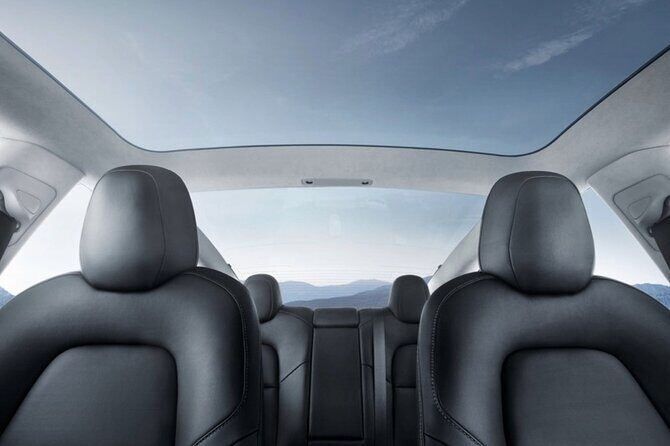 Private Auckland Sightseeing - Full Day/Half Day Hidden Gems Tour - How the Price Stacks Up