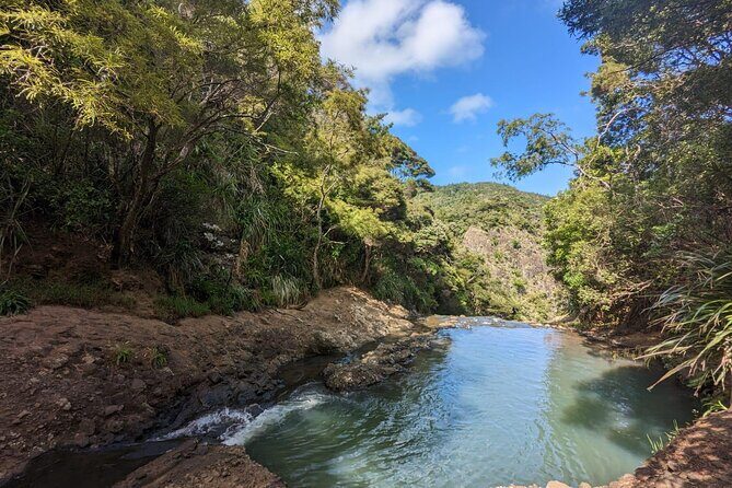 Private Auckland Sightseeing - Full Day/Half Day Hidden Gems Tour - Final Thoughts