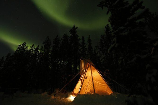 Private Aurora Viewing Experience - The Experience: What You Can Expect