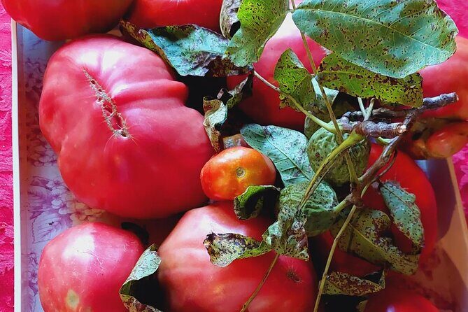 Private Authentic Family Home Local Lunch from Farm From Split - FAQ