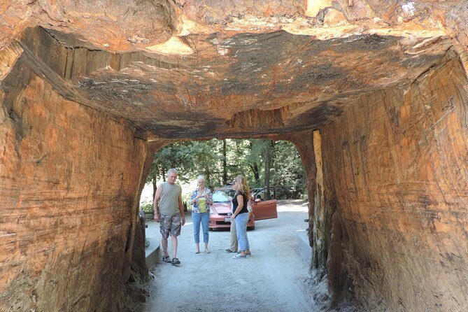Private Avenue of the Giants Redwoods Day Trip from San Francisco - The Itinerary in Detail