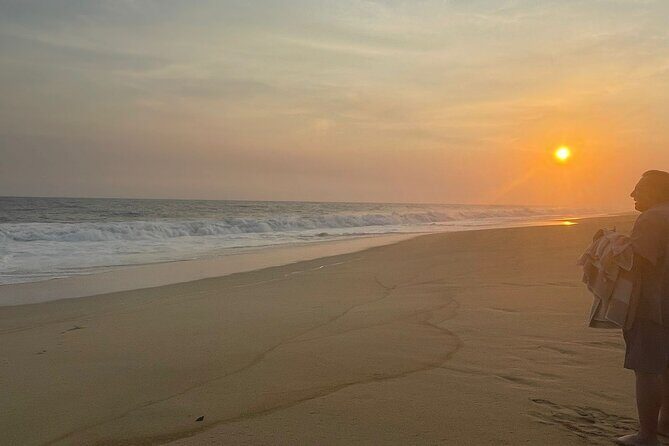 Private Baby Sea Turtle Release Huatulco HT - What to Expect from the Tour