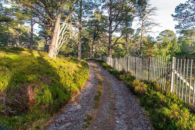 Private Balmoral Walking Tour to Queens Secret Cabin & the Castle - The Value of the Tour
