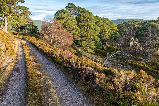 Private Balmoral Walking Tour to Queens Secret Cabin & the Castle - Who Would Love This Tour?