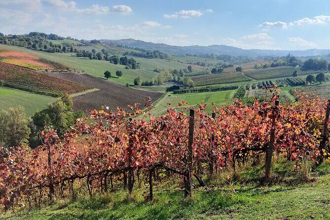 Private Balsamic vinegar & Parmigiano Reggiano factory visits - Practical Details and Logistics