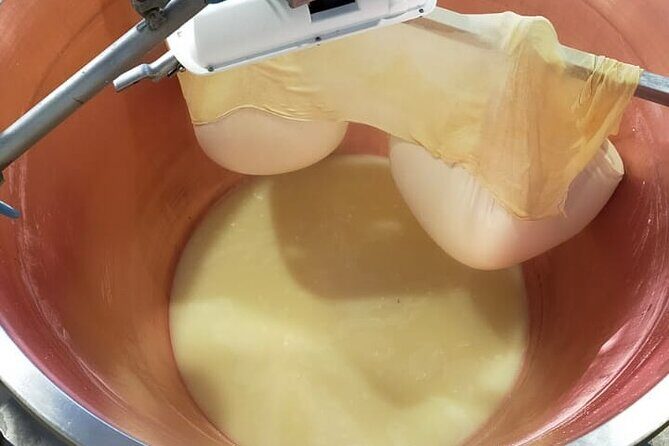 Private Balsamic vinegar & Parmigiano Reggiano factory visits - Who Should Consider This Tour?