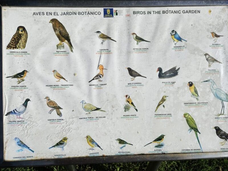 Private Bandama Caldera, Botanic Garden(/Wine*), Old Town - Final Thoughts