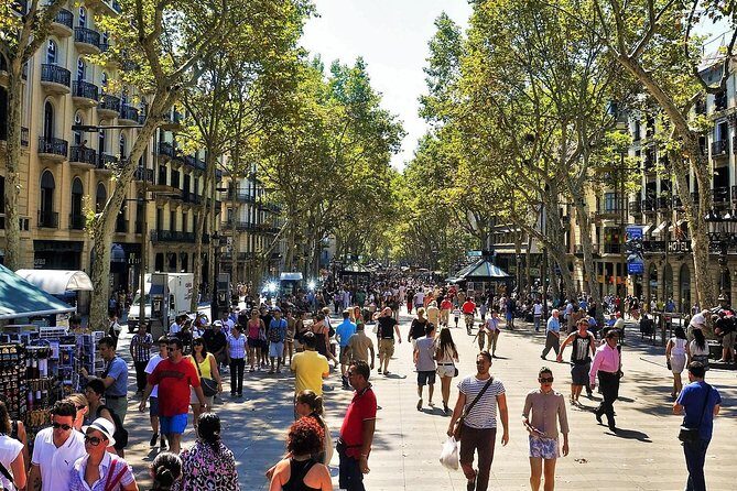 Private Barcelona and Park Güell Tour with hotel Pick-up - Price and Value