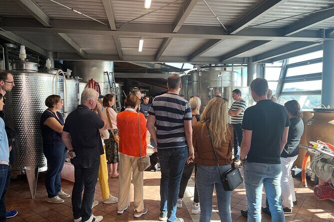 Private Barolo Wine Tour with Winemaker - What Do the Reviews Say?