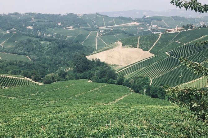 Private Barolo Wine Tour with Winemaker from Turin - Why This Tour Stands Out
