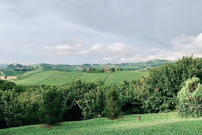 Private Barolo Wine Tour with Winemaker from Turin - Price and Value Analysis