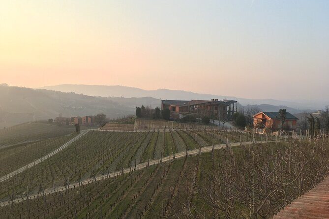 Private Barolo Wine Tour with Winemaker from Turin - Who Is This Tour Best For?