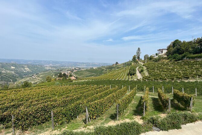 Private Barolo Wine Tour with Winemaker from Turin - Final thoughts