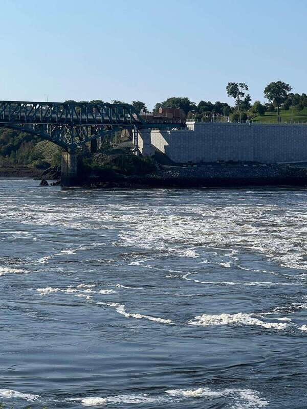 Private Bay of Fundy and City Highlights Tour up to 7 - A Deep Dive into the Tour Experience