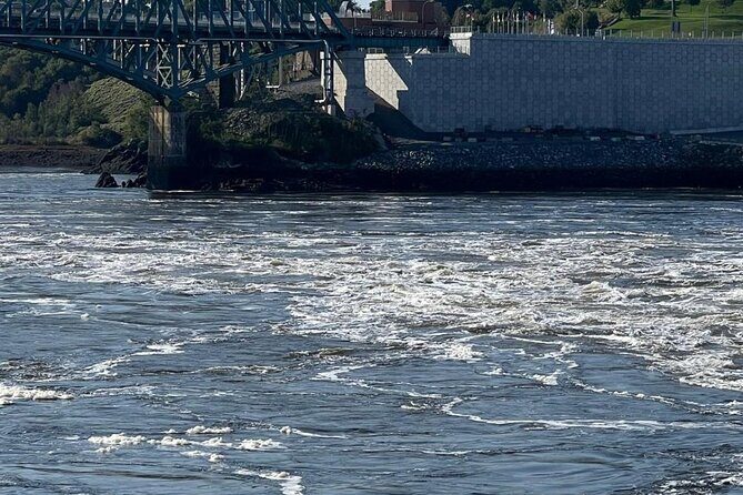 Private Bay of Fundy & City sightseeing (Saint John, NB) - Key Points