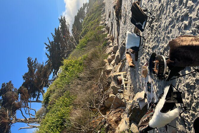 Private Beach Bonfire in Carmel-by-the-Sea - The Experience: What You Can Expect