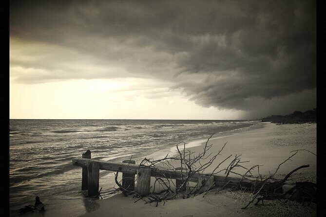 Private Beach or Sunset Boat Tour In Naples Florida - FAQs