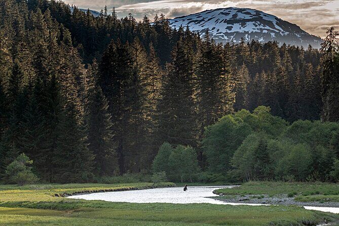 Private Bear Viewing By Seaplane - Price and Value: Is It Worth It?