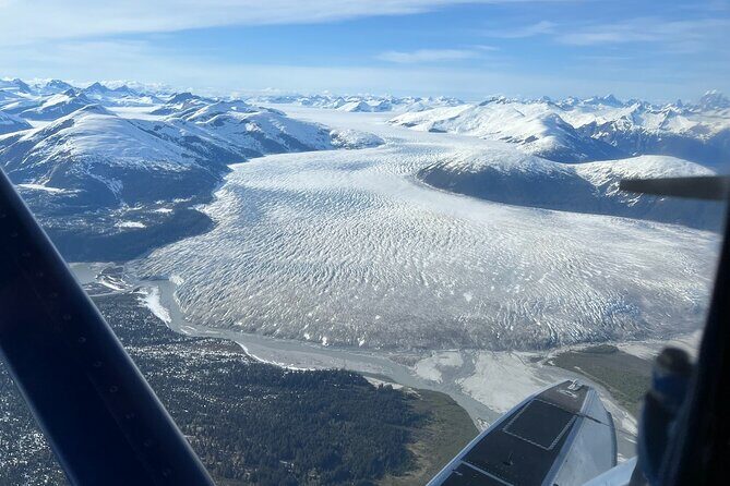 Private Bear Viewing By Seaplane - The Sum Up