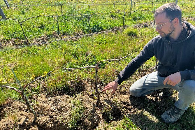 Private Beaujolais wine tour - Practical Details & Tips