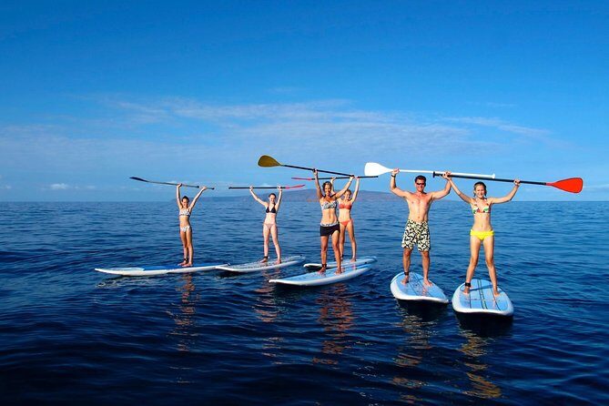 Private Beginner Paddleboard 101 Lesson: Polo Beach, Turtle Town - A Closer Look at the Experience