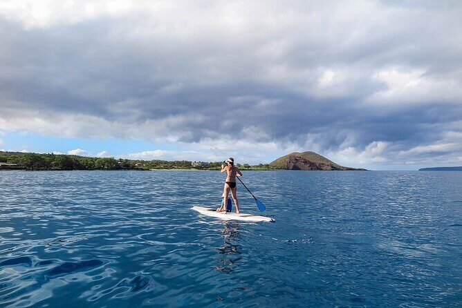 Private Beginner Paddleboard 101 Lesson: Polo Beach, Turtle Town - FAQ