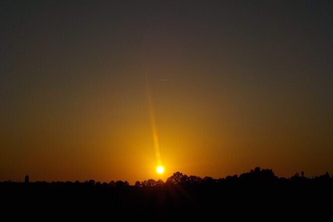 Private Berlin by Evening/Night -(Multi)Rickshaw - Taylor Made - How the Tour Works and What to Expect