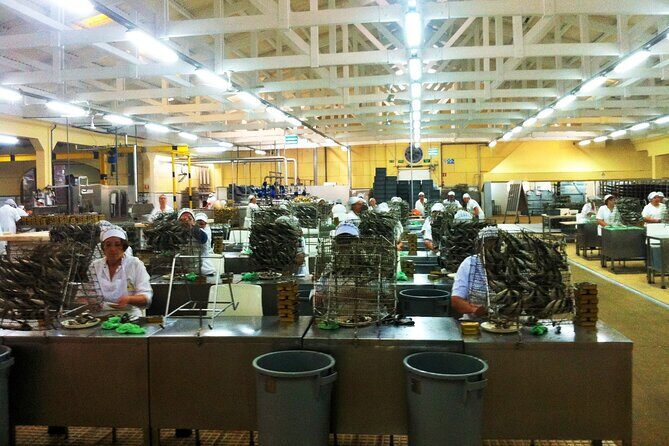 Private Best Fish Experience From Porto - Frequently Asked Questions