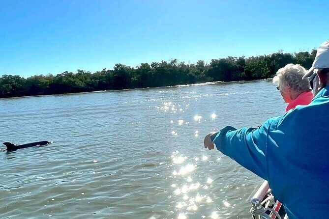 Private Best of Marco Island Dolphin Tour - What’s Included and What’s Not