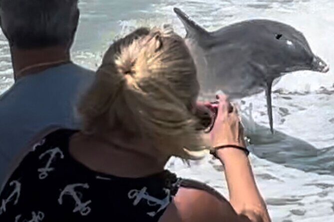 Private Best of Marco Island Dolphin Tour - The Realities: What People Say