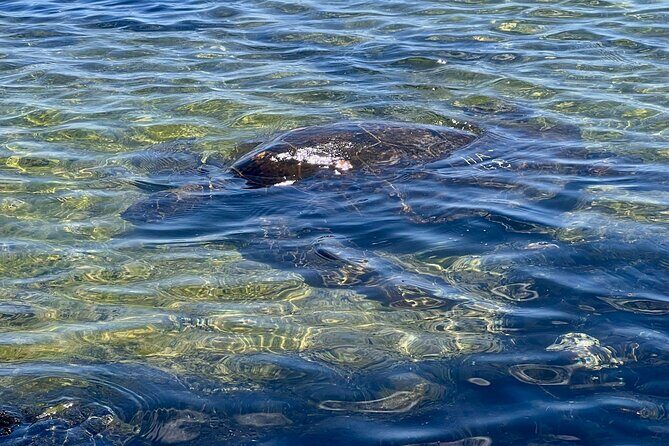 Private Big Island: History & Local Shopping Tour - FAQs