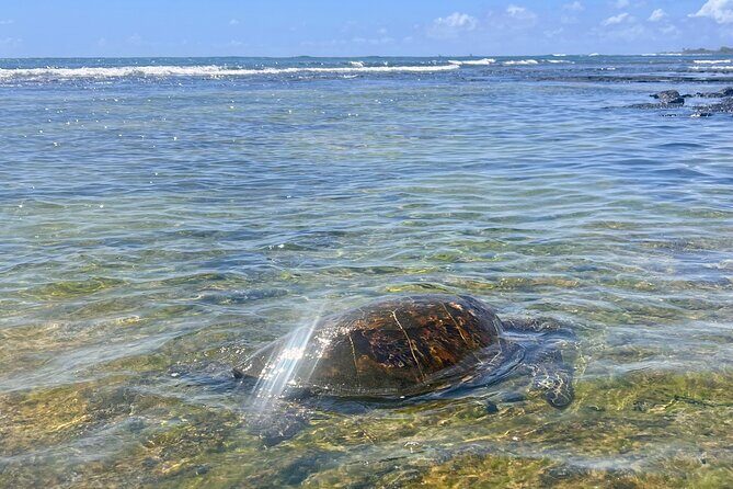 Private Big Island: History & Local Shopping Tour - Final Thoughts