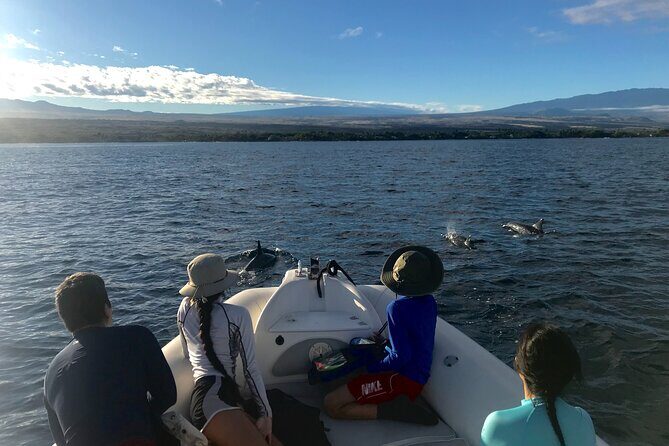 Private Big Island Snorkeling - Why Choose the Private Big Island Snorkeling Tour?