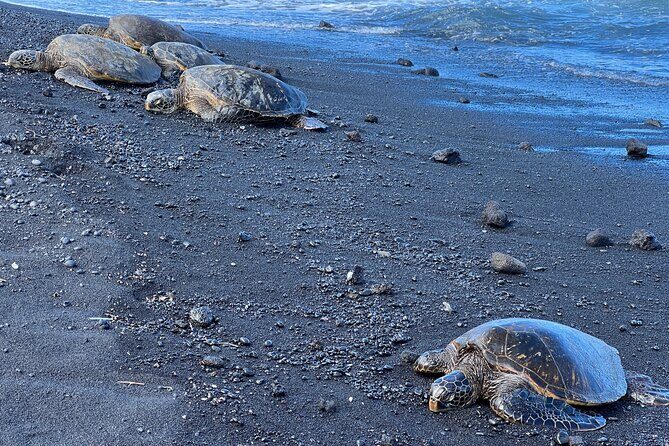 Private Big Island Tour of East to West - Who Should Consider This Tour?