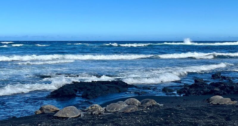 Private Big Island Tour:Coffee, Beaches,Volcanos & Waterfall - Key Points