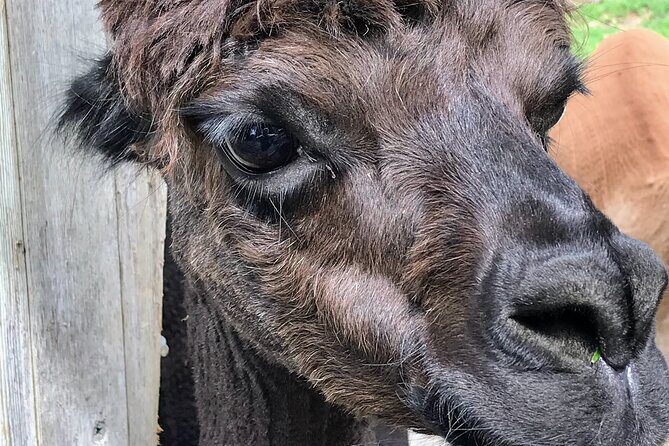 Private bike tour: Hidden gems around Amsterdam and surroundings - Final Thoughts