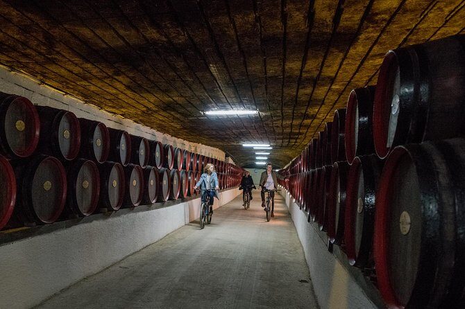 Private Bike Tour to Cricova Winery with wine tasting and lunch - What to Expect on the Tour