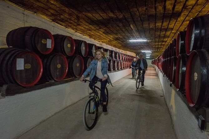 Private Bike Tour to Cricova Winery with wine tasting and lunch - The Ride and Logistics